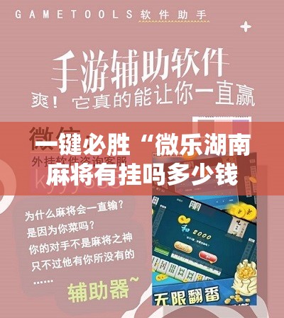 一键必胜“微乐湖南麻将有挂吗多少钱”详细分享装挂步骤