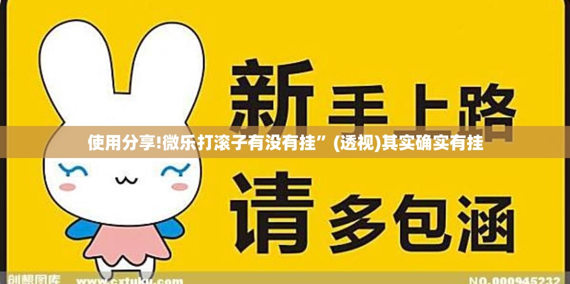 使用分享!微乐打滚子有没有挂	”(透视)其实确实有挂