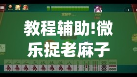 教程辅助!微乐捉老麻子外卦神器最新版更新内”开挂(透视)辅助神器