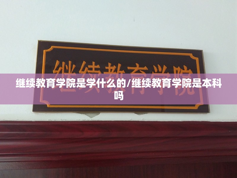 继续教育学院是学什么的/继续教育学院是本科吗