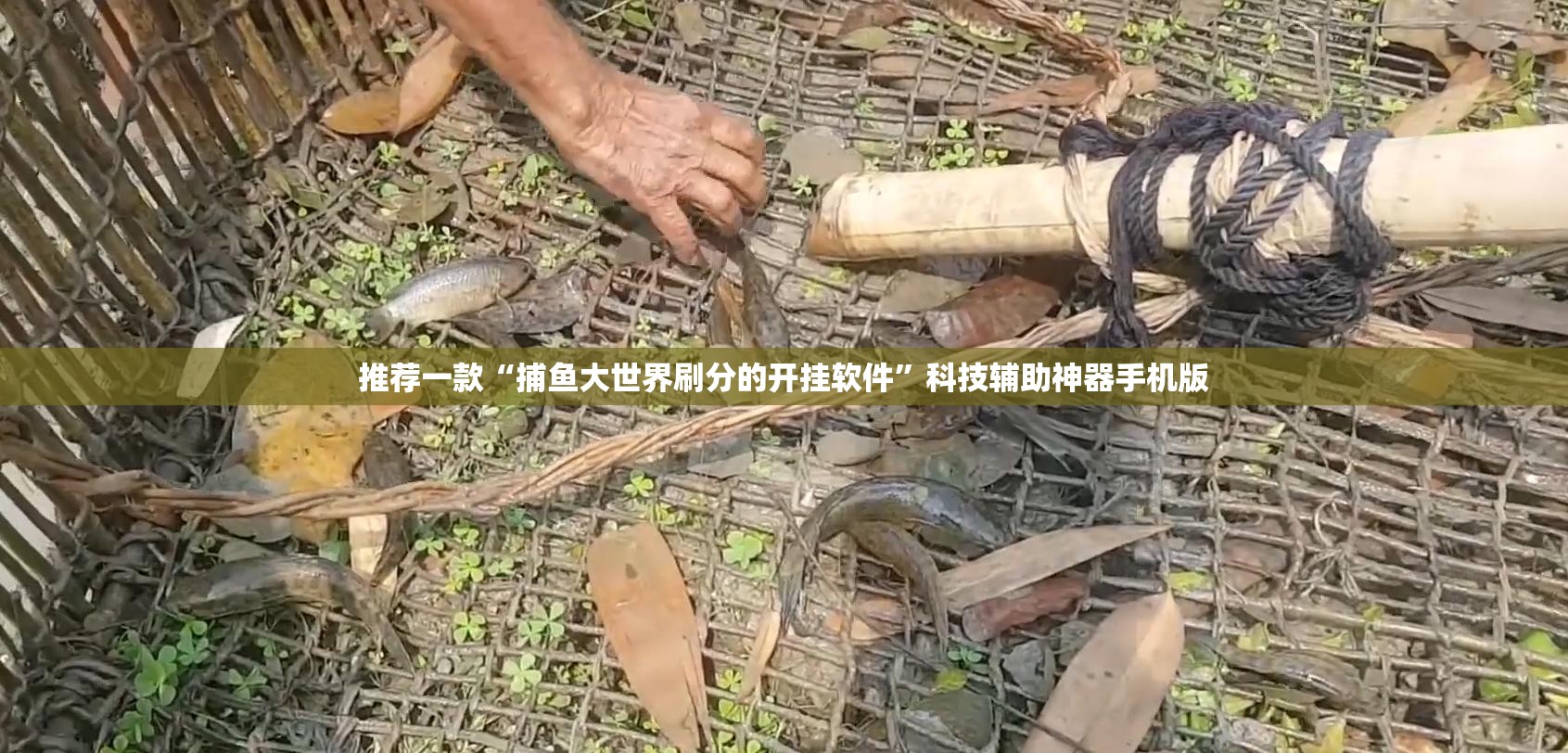 推荐一款“捕鱼大世界刷分的开挂软件	”科技辅助神器手机版