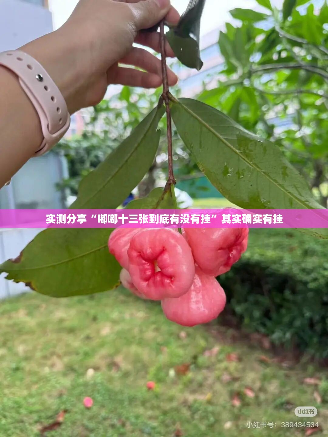 实测分享“嘟嘟十三张到底有没有挂”其实确实有挂