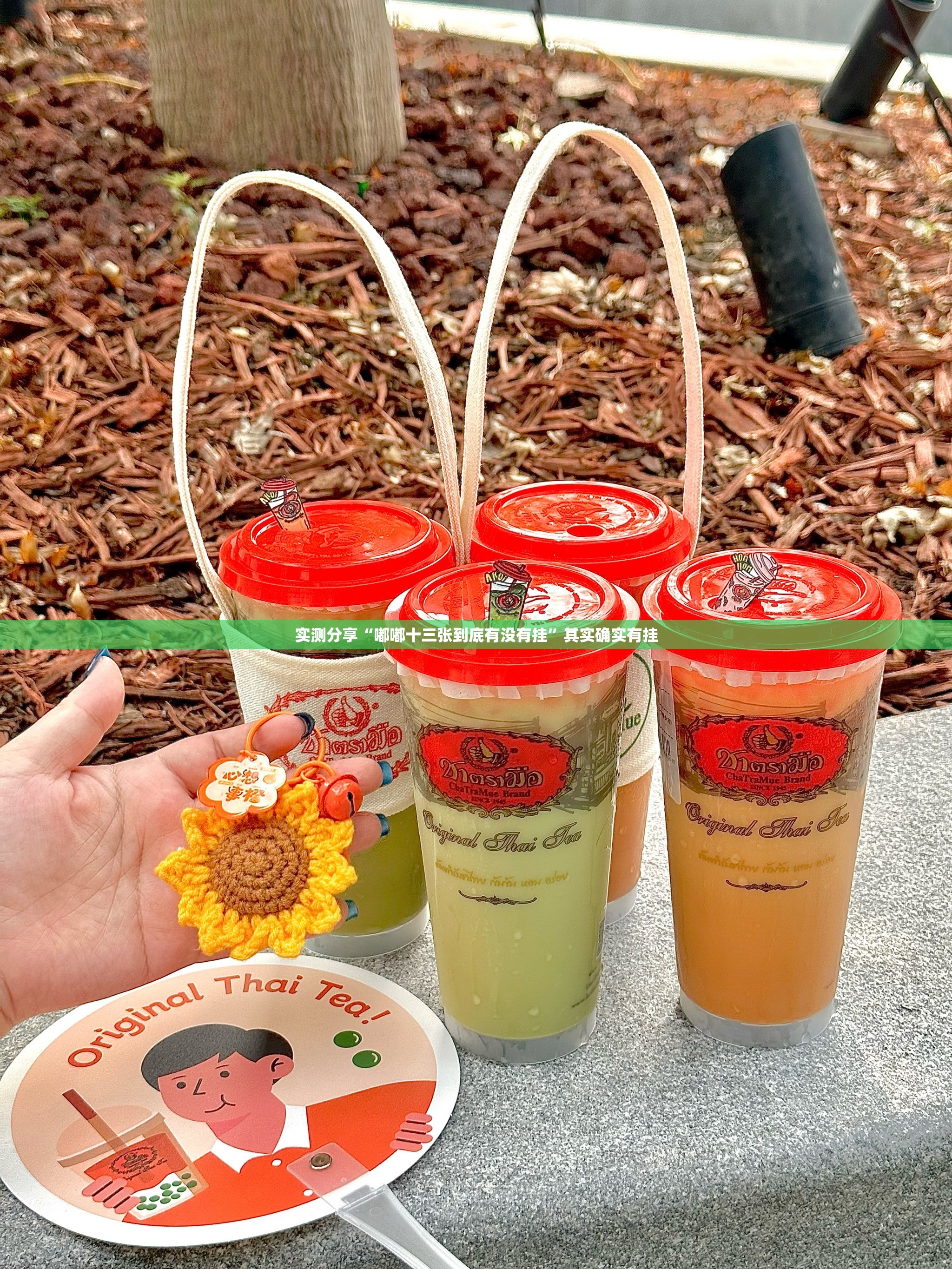 实测分享“嘟嘟十三张到底有没有挂”其实确实有挂
