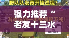 强力推荐“老友十三水怎么才能赢”开挂(透视)辅助教程
