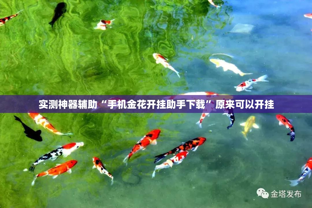 实测神器辅助“手机金花开挂助手下载”原来可以开挂