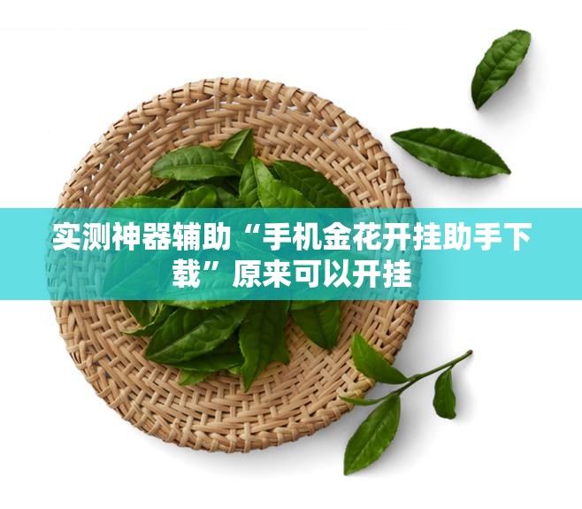 实测神器辅助“手机金花开挂助手下载	”原来可以开挂