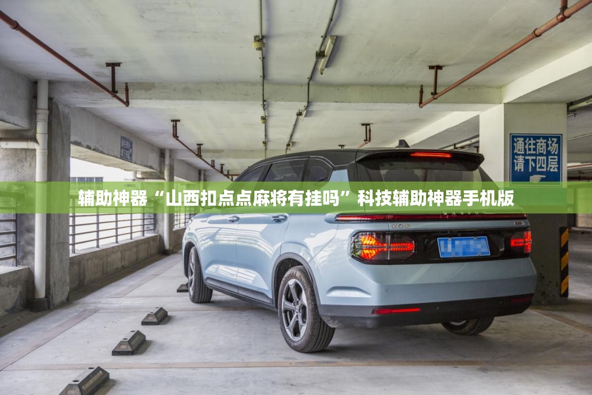 辅助神器“山西扣点点麻将有挂吗”科技辅助神器手机版