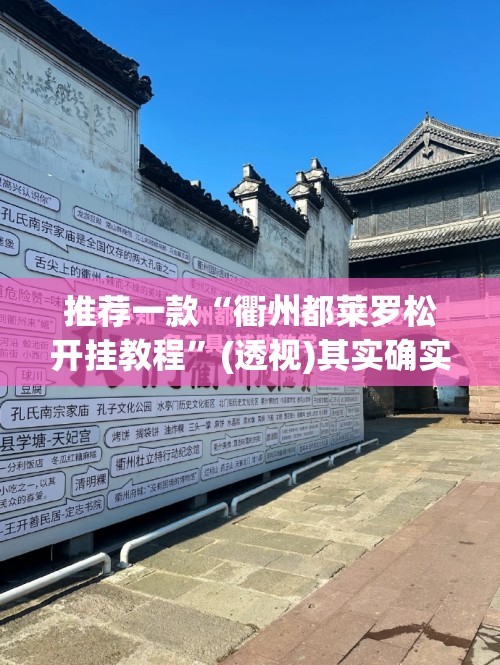 推荐一款“衢州都莱罗松开挂教程”(透视)其实确实有挂
