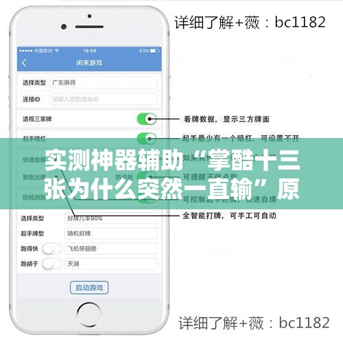 实测神器辅助“掌酷十三张为什么突然一直输”原来可以开挂