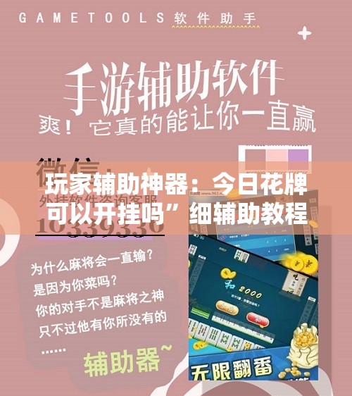 玩家辅助神器：今日花牌可以开挂吗	”细辅助教程分享