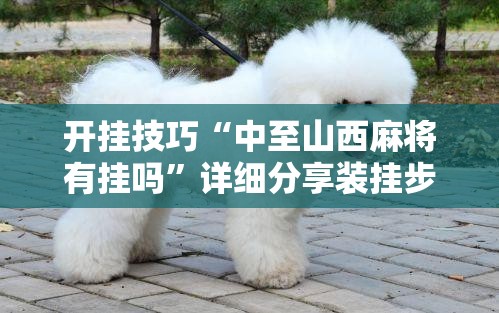 开挂技巧“中至山西麻将有挂吗”详细分享装挂步骤