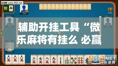 辅助开挂工具“微乐麻将有挂么 必赢	”详细开挂教程