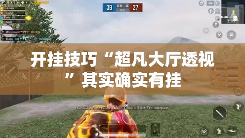 开挂技巧“超凡大厅透视”其实确实有挂