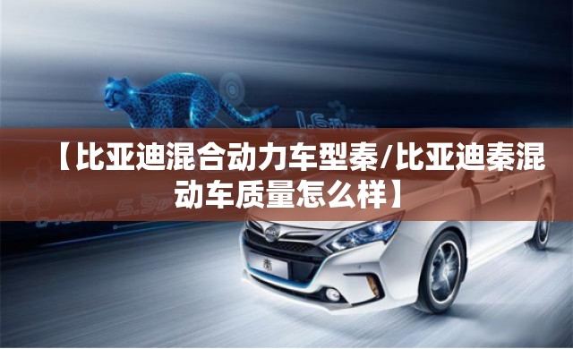 【比亚迪混合动力车型秦/比亚迪秦混动车质量怎么样】 【比亚迪混合动力车型秦/比亚迪秦混动车质量怎么样】