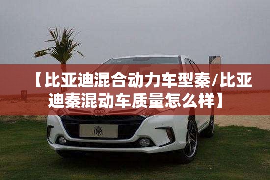 【比亚迪混合动力车型秦/比亚迪秦混动车质量怎么样】 【比亚迪混合动力车型秦/比亚迪秦混动车质量怎么样】