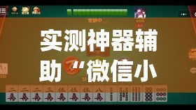 实测神器辅助“微信小程序微乐湖南麻将万能开挂神器”(免费)开挂辅助教学(最新辅助开挂教程)
