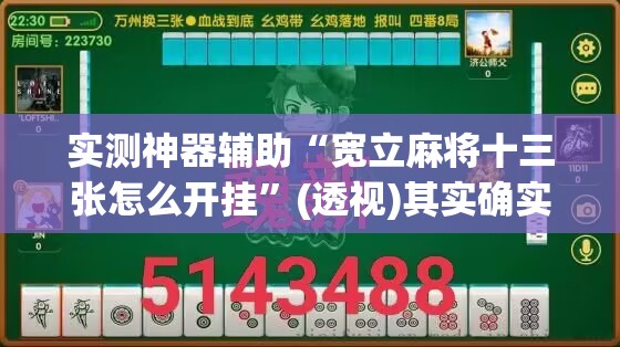 实测神器辅助“宽立麻将十三张怎么开挂	”(透视)其实确实有挂