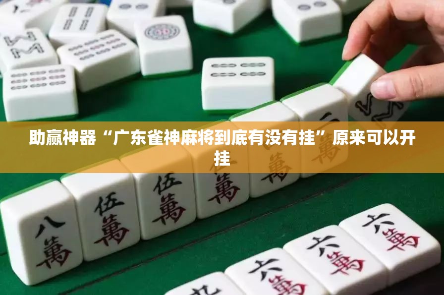 助赢神器“广东雀神麻将到底有没有挂”原来可以开挂