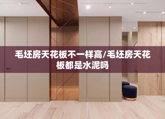 毛坯房天花板不一样高/毛坯房天花板都是水泥吗