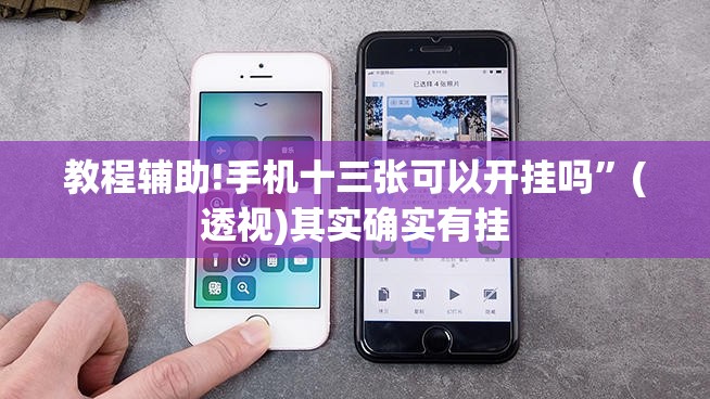 教程辅助!手机十三张可以开挂吗”(透视)其实确实有挂