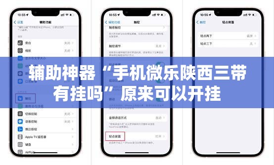 辅助神器“手机微乐陕西三带有挂吗”原来可以开挂