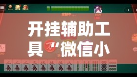 开挂辅助工具“微信小程序微乐跑得快怎么开挂”其实确实有挂