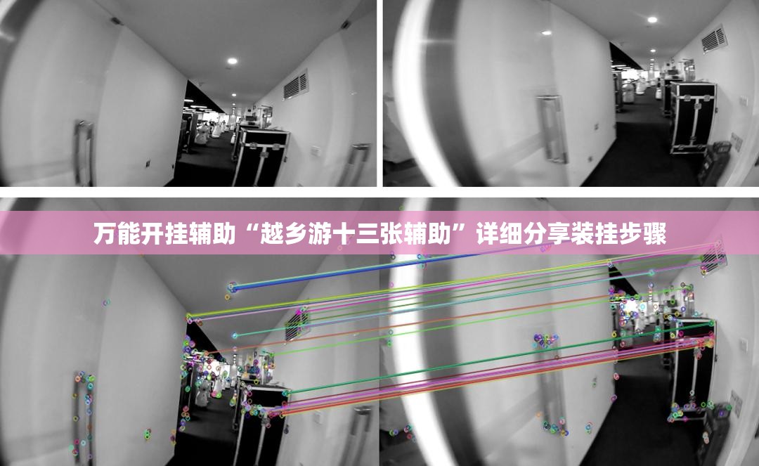 万能开挂辅助“越乡游十三张辅助”详细分享装挂步骤
