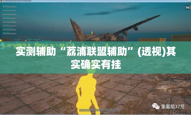 实测辅助“荔浦联盟辅助	”(透视)其实确实有挂
