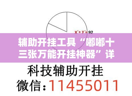 辅助开挂工具“嘟嘟十三张万能开挂神器”详细外挂透视辅助软件教程
