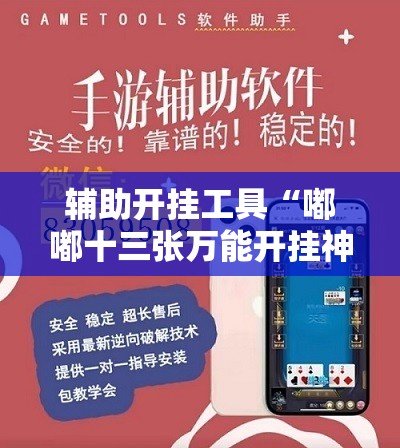 辅助开挂工具“嘟嘟十三张万能开挂神器	”详细外挂透视辅助软件教程