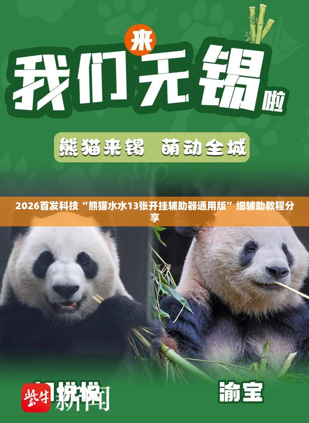 2026首发科技“熊猫水水13张开挂辅助器通用版	”细辅助教程分享