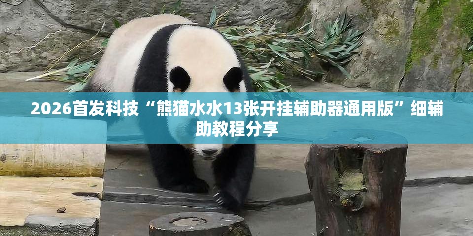 2026首发科技“熊猫水水13张开挂辅助器通用版”细辅助教程分享