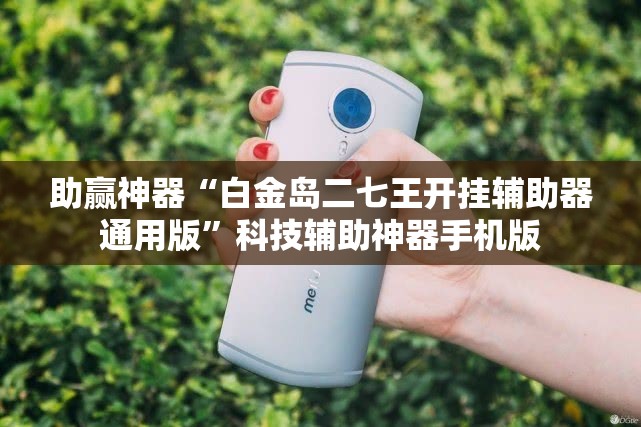 助赢神器“白金岛二七王开挂辅助器通用版”科技辅助神器手机版