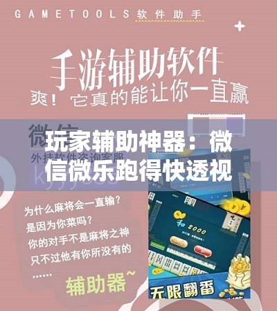 玩家辅助神器：微信微乐跑得快透视软件免费下载	”其实确实有挂
