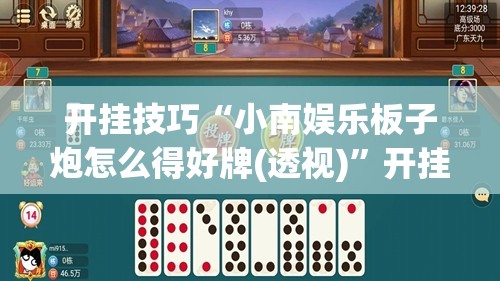 开挂技巧“小南娱乐板子炮怎么得好牌(透视)”开挂辅助脚本+详细开挂安装教程
