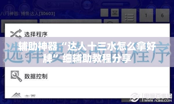 辅助神器“达人十三水怎么拿好牌”细辅助教程分享