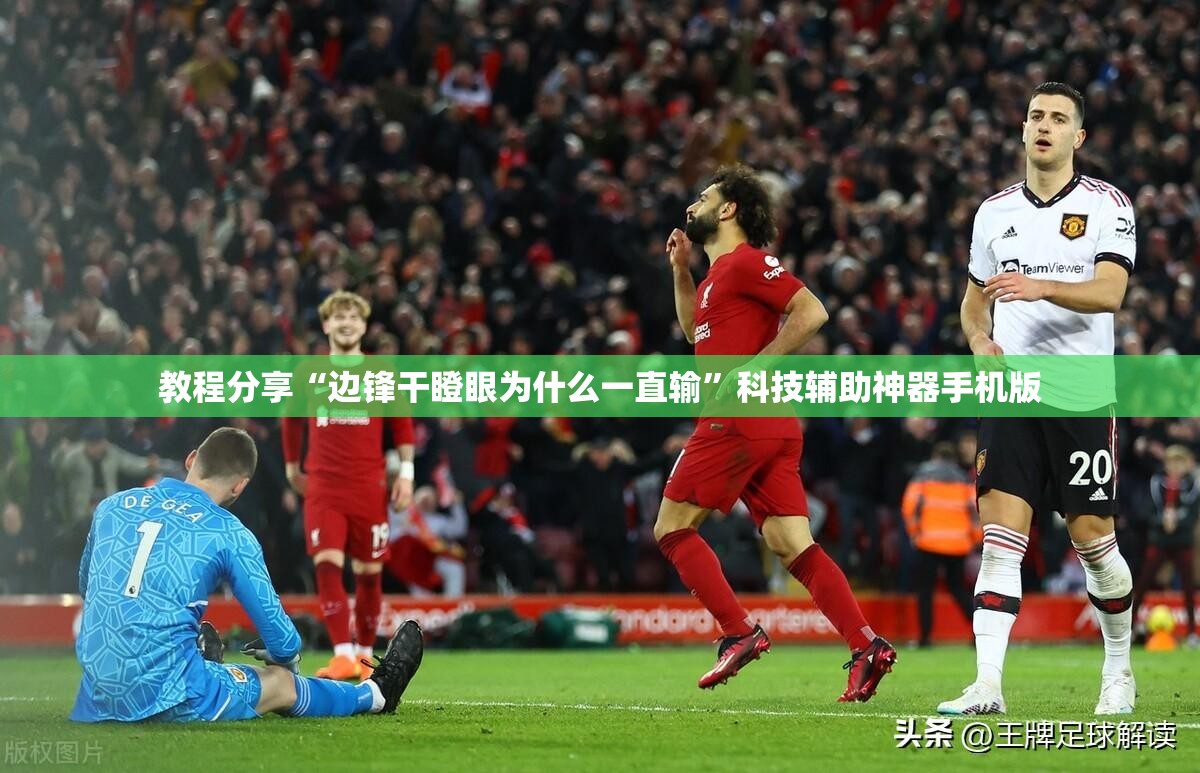 教程分享“边锋干瞪眼为什么一直输”科技辅助神器手机版