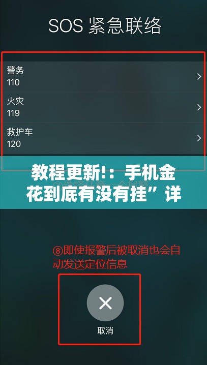 教程更新!：手机金花到底有没有挂”详细分享装挂步骤