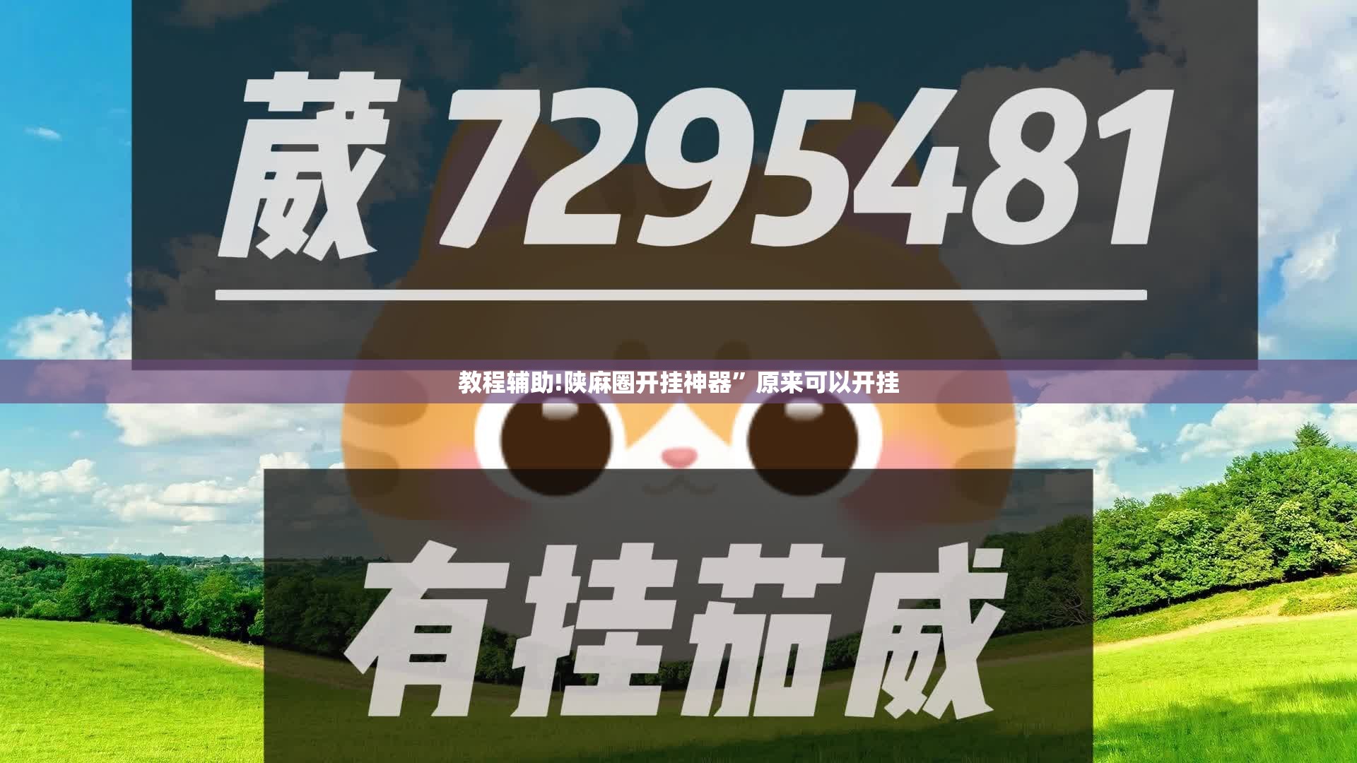 教程辅助!陕麻圈开挂神器”原来可以开挂