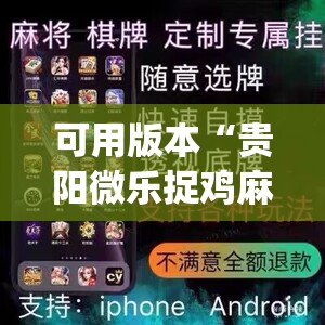 可用版本“贵阳微乐捉鸡麻将开挂辅助器通用版”开挂(透视)辅助教程