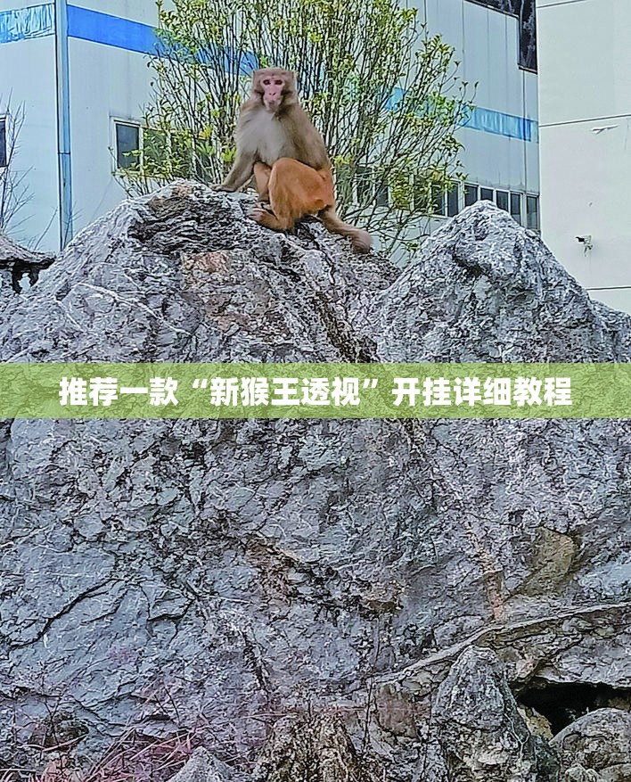 推荐一款“新猴王透视	”开挂详细教程