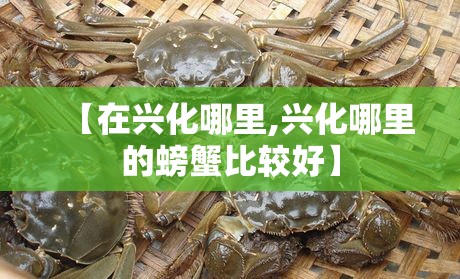 【在兴化哪里,兴化哪里的螃蟹比较好】 【在兴化哪里,兴化哪里的螃蟹比较好】