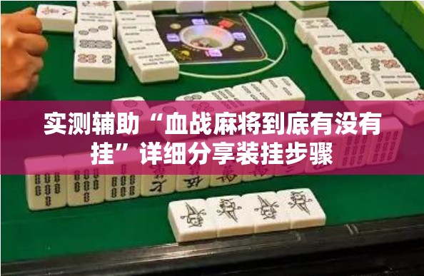 实测辅助“血战麻将到底有没有挂”详细分享装挂步骤