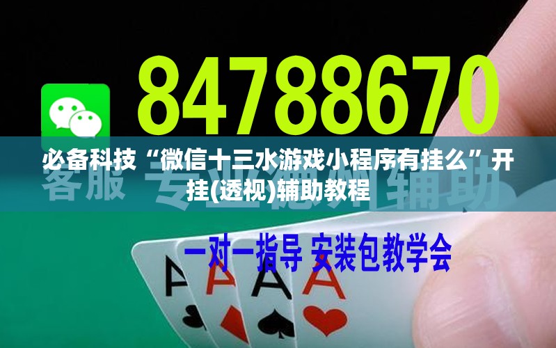 必备科技“微信十三水游戏小程序有挂么”开挂(透视)辅助教程