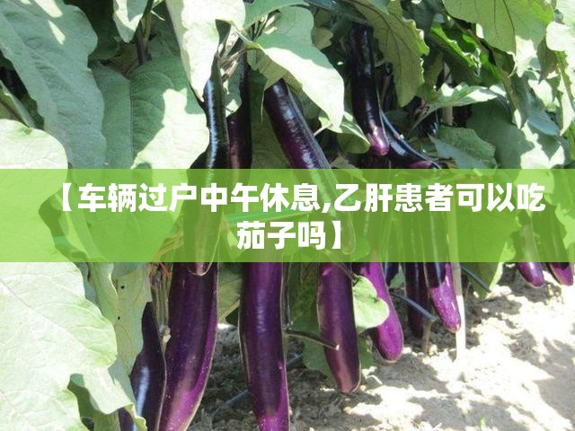 【车辆过户中午休息,乙肝患者可以吃茄子吗】 【车辆过户中午休息,乙肝患者可以吃茄子吗】
