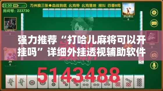 强力推荐“打哈儿麻将可以开挂吗”详细外挂透视辅助软件教程