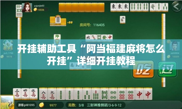 开挂辅助工具“阿当福建麻将怎么开挂	”详细开挂教程