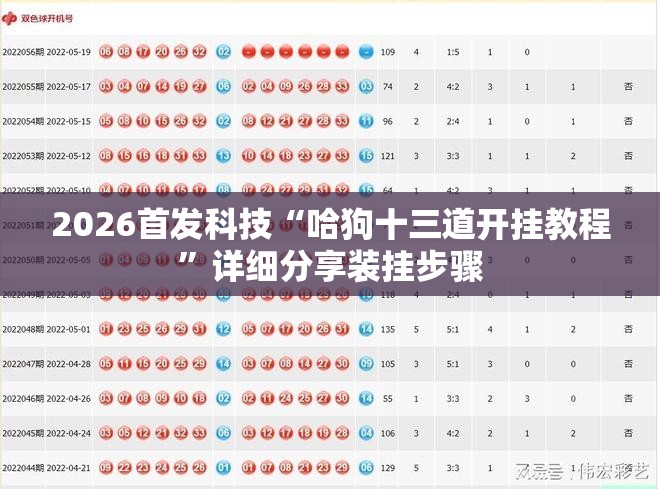 2026首发科技“哈狗十三道开挂教程	”详细分享装挂步骤