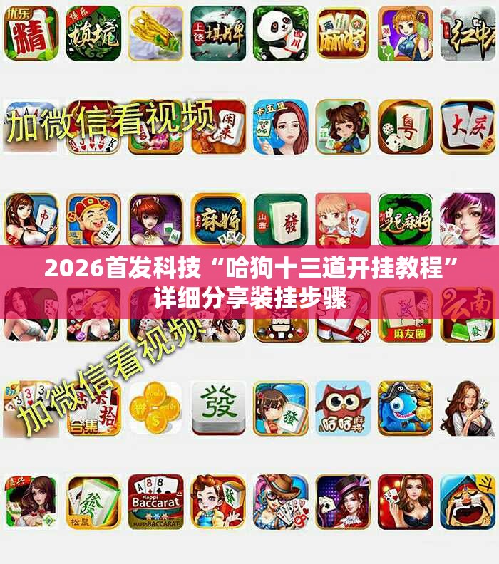 2026首发科技“哈狗十三道开挂教程”详细分享装挂步骤
