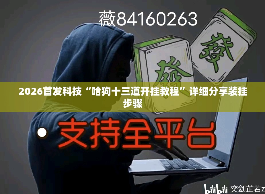 2026首发科技“哈狗十三道开挂教程	”详细分享装挂步骤